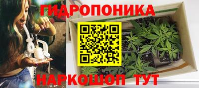 Альфа ПВП Новокубанск