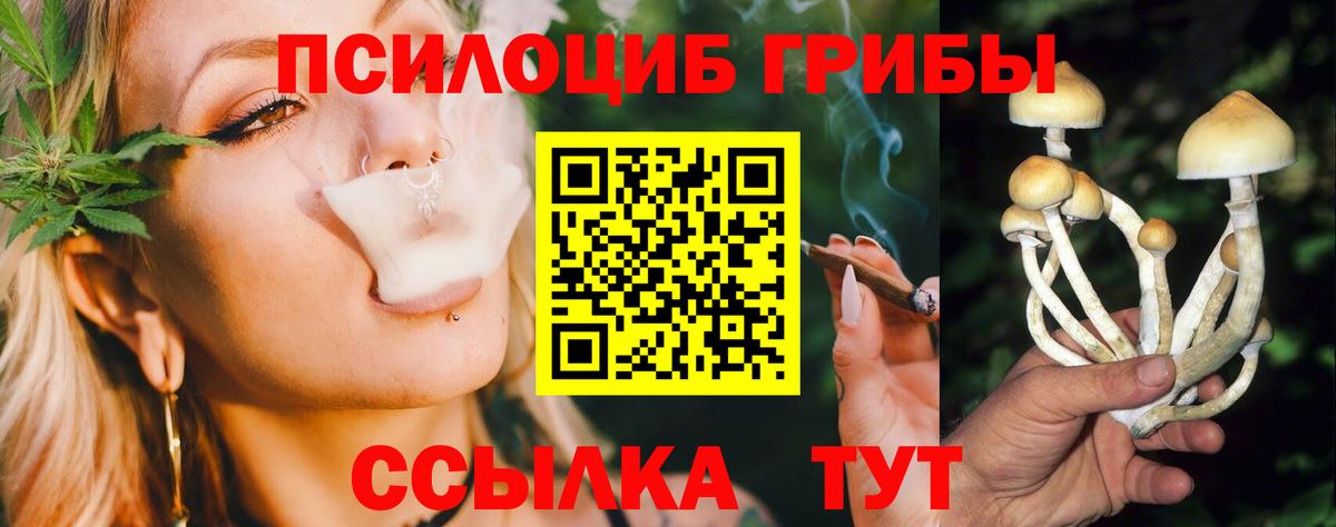 Каменка  Галлюциногенные грибы прущие грибы  Вход с VPN 