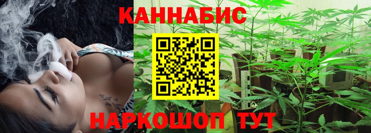 Шишки марихуана Amnesia  Бошки Шишки семена  Каменка  Бошки марихуана гибрид  Каннабис OG Kush  Вход с VPN 